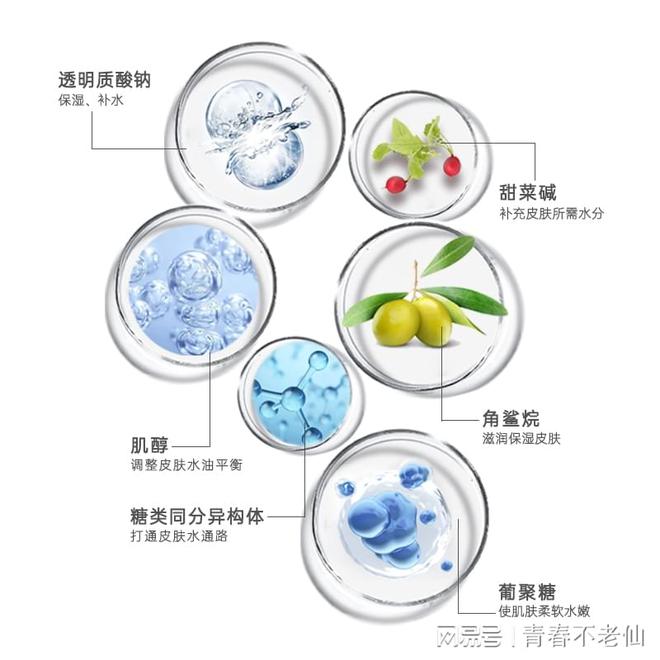 梦缘——敏感肌与自然滋养的不朽情缘正规网站爱心301(图1)