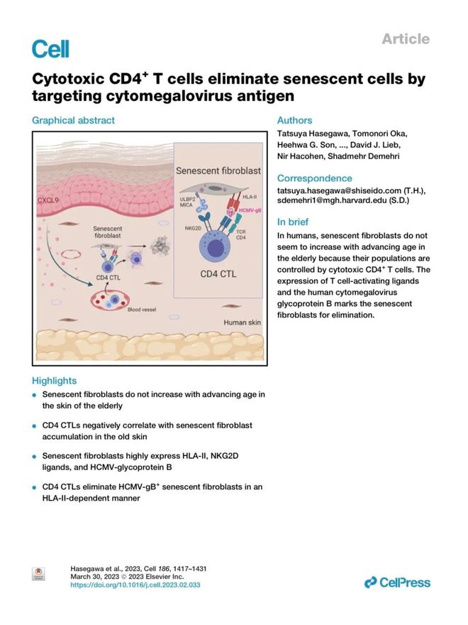 美妆内卷从全新「红腰子」看肌肤抗老赛道跃迁mg不朽情缘游戏网站登录科研长期主义破局(图2)
